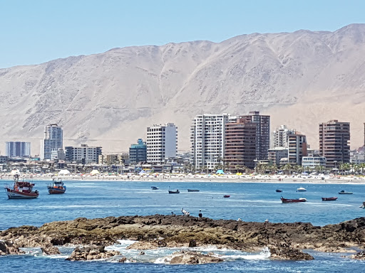banco Caleta Cavancha