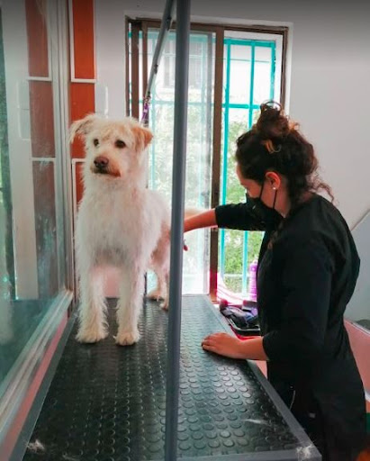 banco Clínica Veterinaria Invet - Chile