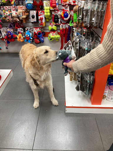 banco Club De Perros Y Gatos Las Condes