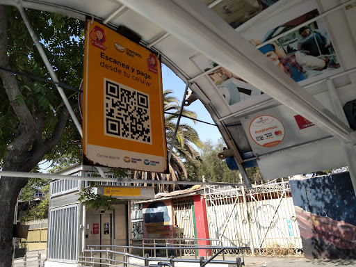banco El Llano