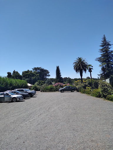 banco Haras Santa Amelia