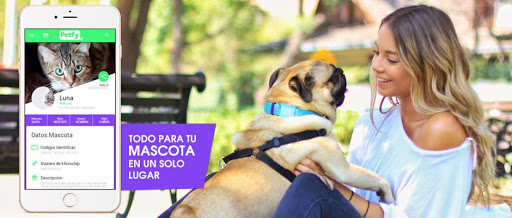 banco Petfy