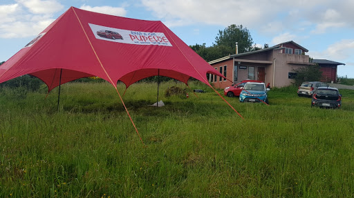 banco Rent A Car Pupelde Chiloé